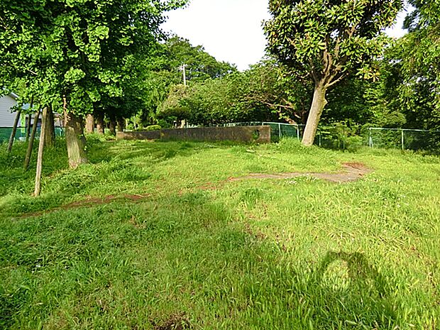 神之木台公園 220m
