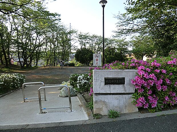 鴨志田第五公園 250m