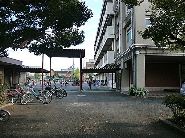 横浜市立大豆戸小学校　240m？