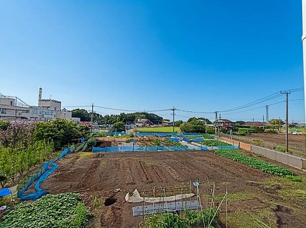 ほっと一息つきたい時に望むこの眺望。リラックスできる空間になりますね。
