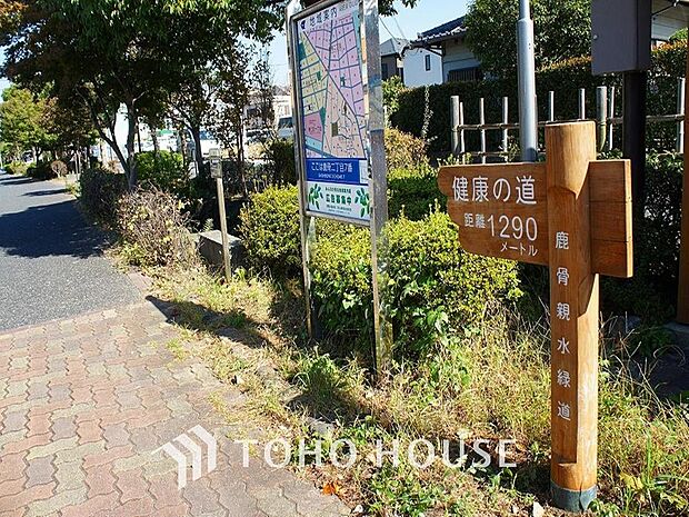 鹿骨親水緑道まで約1097m。