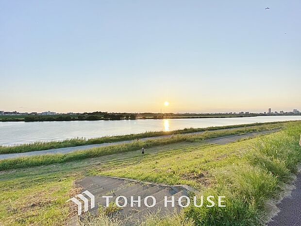 江戸川河川敷まで約180m