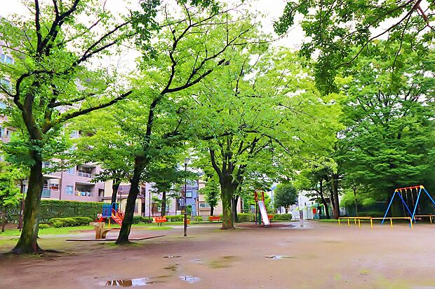 西保木間公園 676m