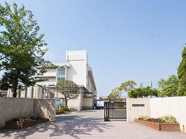 市川市立福栄中学校まで約256m。