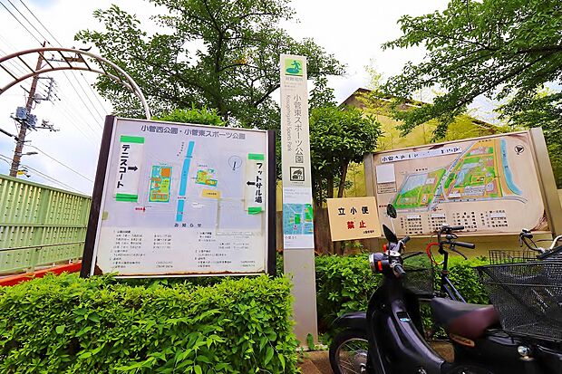 小菅東スポーツ公園まで約574m。