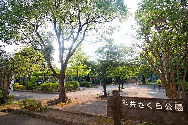 さくら公園 111m