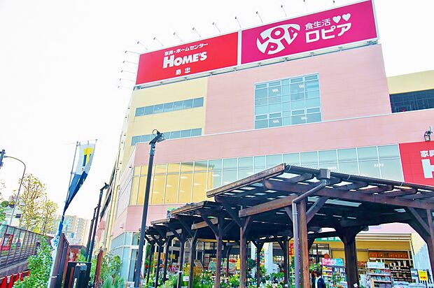 ロピア 平井島忠ホームズ店 1019m