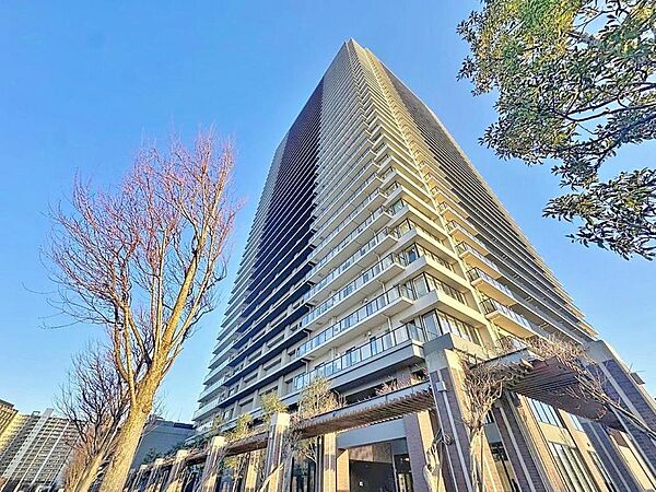 外観：313004666196