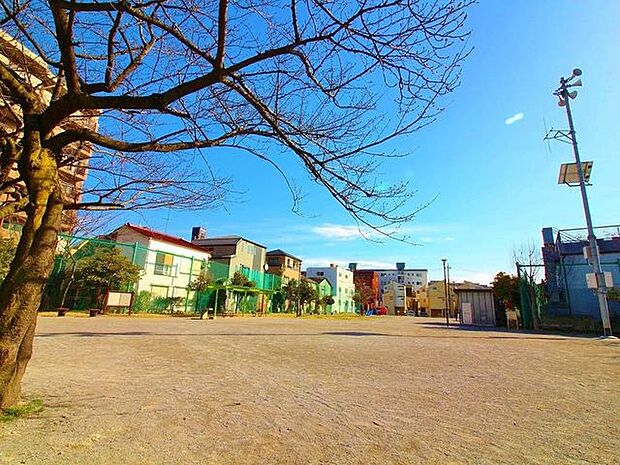 西新小岩公園まで約216m。