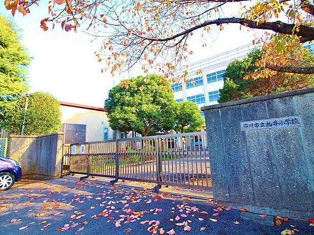市川市立柏井小学校 245m豊かな心と健やかな体を持ち、進んで学ぶ子どもを育てるを教育目標としております。