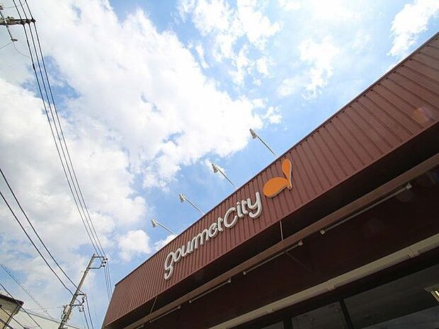 グルメシティ　柴又店 477m