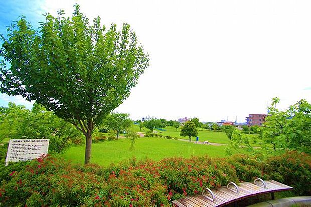 東立石緑地公園 429m