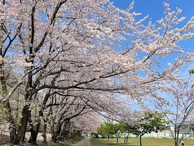 袖ケ浦運動公園まで約200m。
