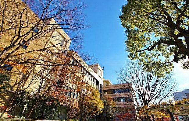 江戸川区役所 540m