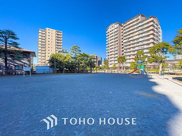 亀戸浅間公園　510ｍ