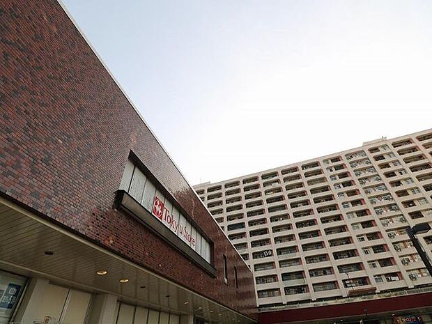 東急ストア　金町店まで約964m。