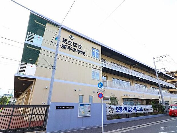 足立区立加平小学校まで約810m。