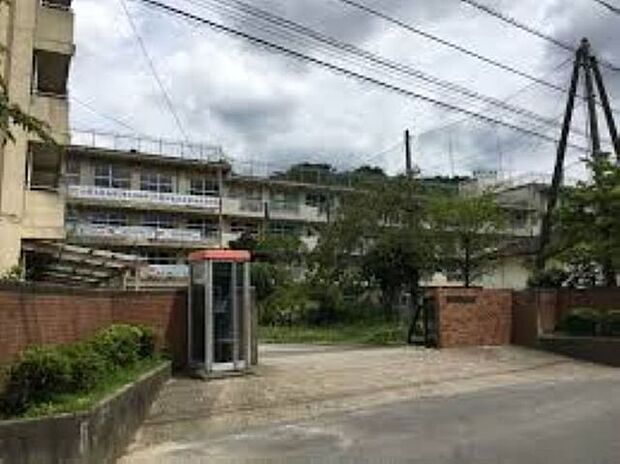 松戸市立第六中学校 徒歩21分。 1650m