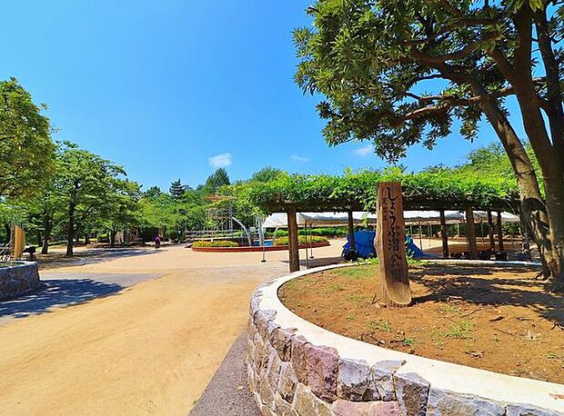 しょうぶ沼公園 525m