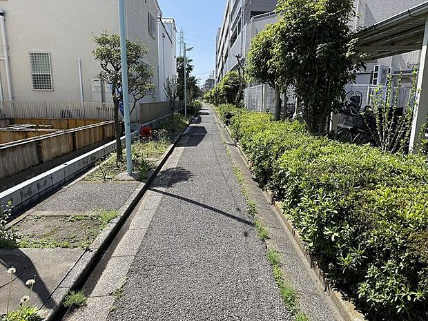 「前面道路」