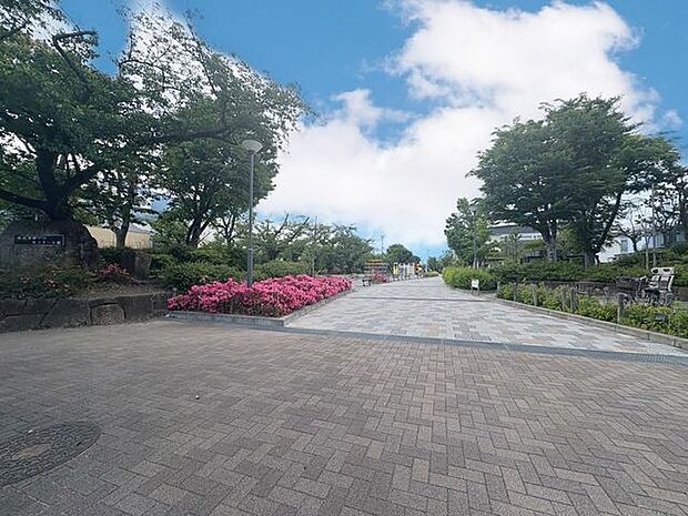 徒歩4分水元スポーツセンター公園 300m