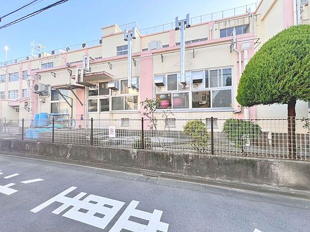 足立区立中島根小学校 650m