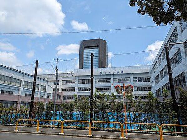 江東区立数矢小学校まで約220m
