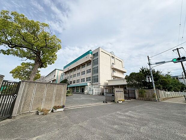 徒歩15分市川市立南行徳中学校 1200m