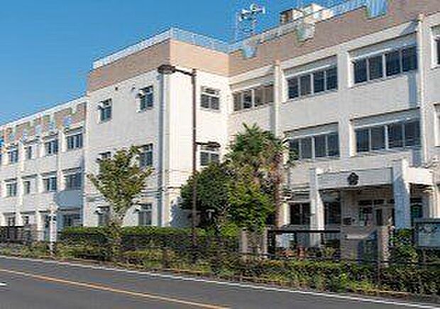 葛飾区立奥戸小学校 440m