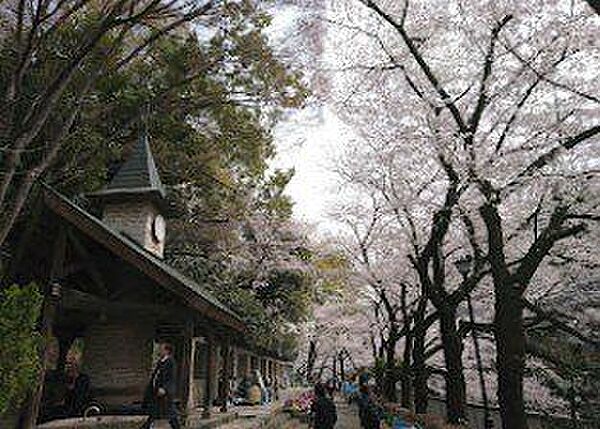 文京区立江戸川公園 350m