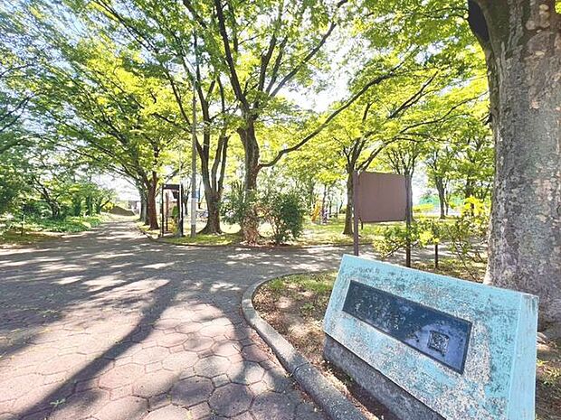 徒歩20分。尾竹橋公園 1590m