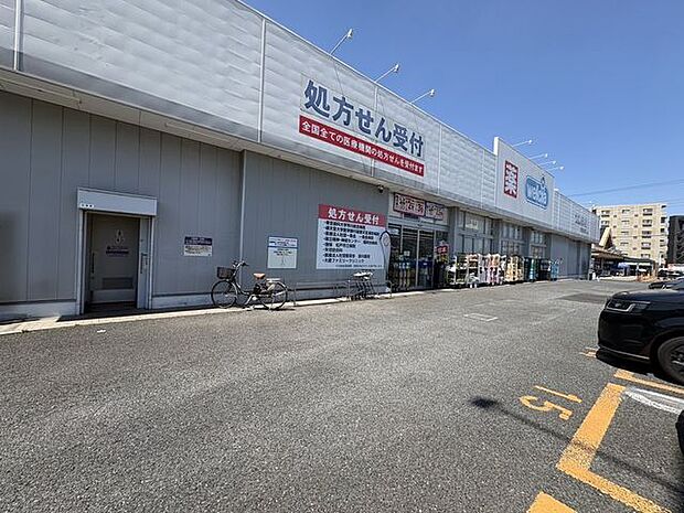 ウエルシア市川堀之内店まで約850ｍ