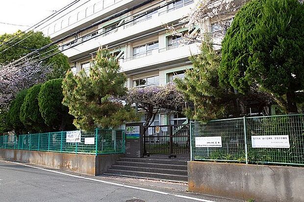 市川市立新井小学校 450m