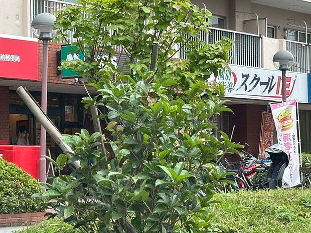 徒歩10分。モスバーガー東大島店 770m