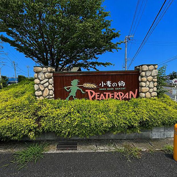 ピーターパン 小麦の郷店 350m