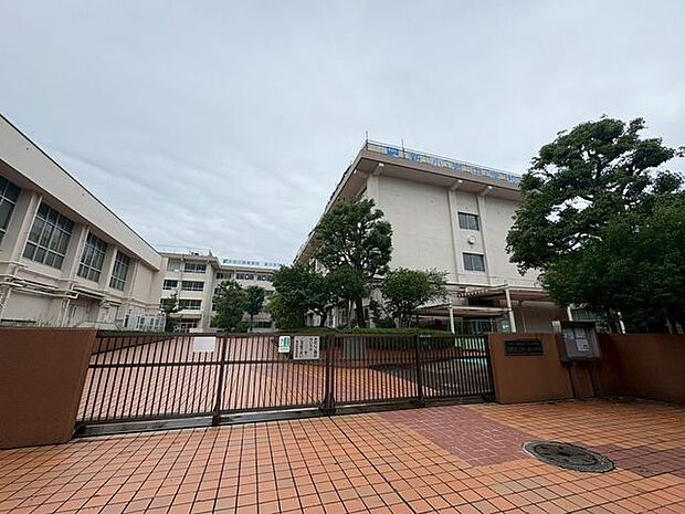徒歩5分。葛飾区立新小岩中学校 390m