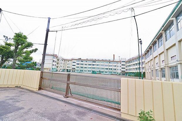 葛飾区立新宿中学校 徒歩9分。 650m