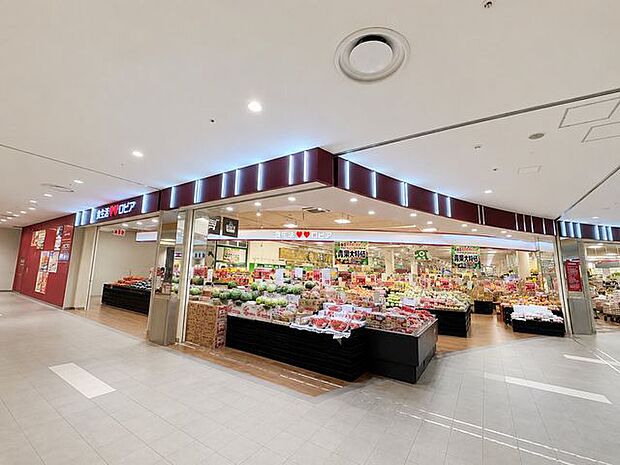 ロピアららぽーとTOKYO-BAY店 徒歩8分。 600m