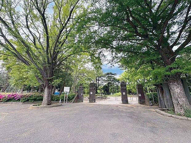 松戸中央公園 2500m