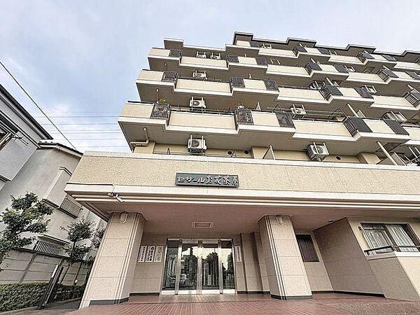 外観：313004846465