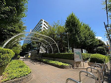 「エントランス入口」植栽もお手入れがしっかりとされており、美しい外観のポイントになっています。