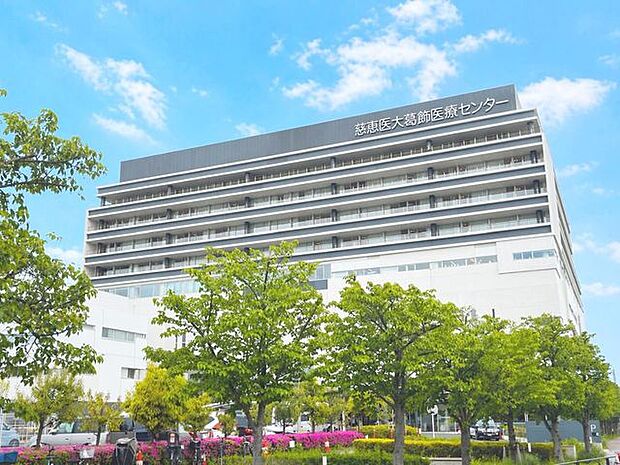 東京慈恵会医科大学葛飾医療センター 1100m