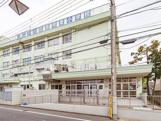江戸川区立鹿骨東小学校 550m