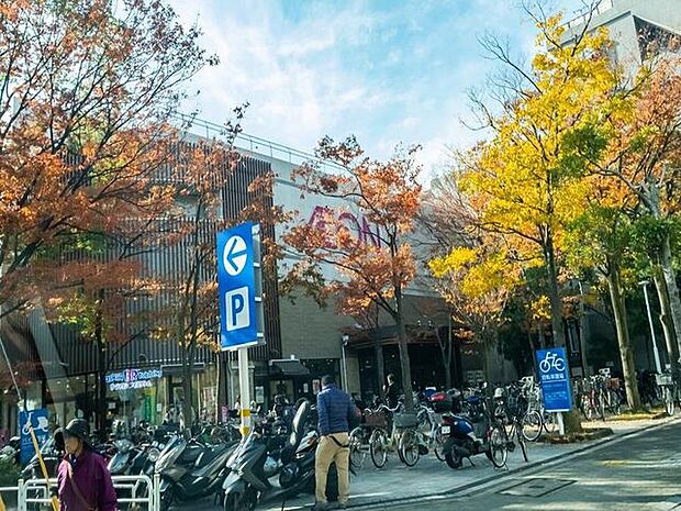 徒歩10分。イオン葛西店 800m