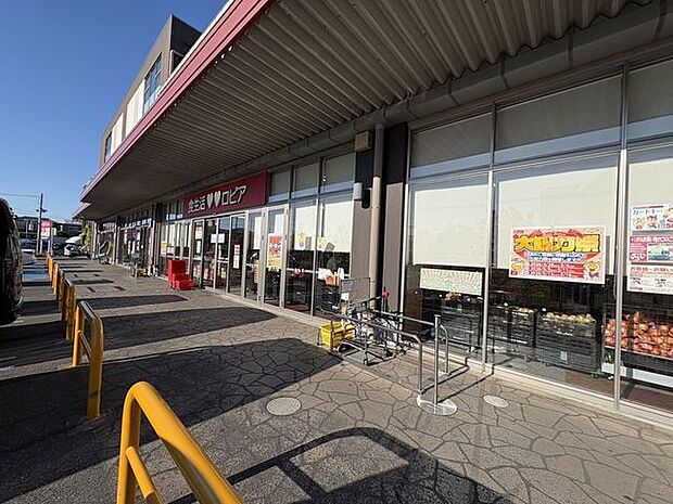 徒歩16分。ロピアアクロスプラザ流山店 1250m