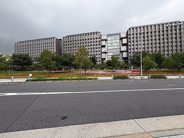 私立東京理科大学葛飾キャンパス 1660m