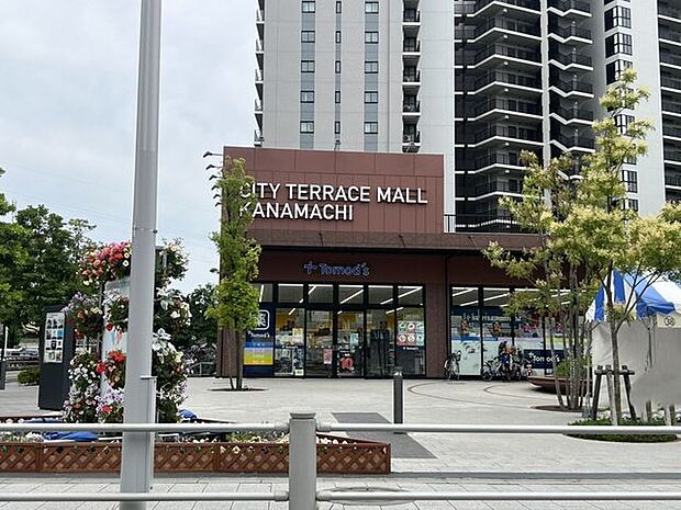 トモズ シティテラスモール金町店 800m