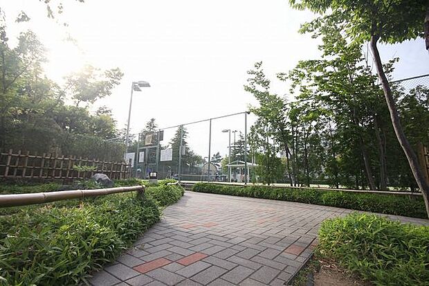 小岩公園 530m