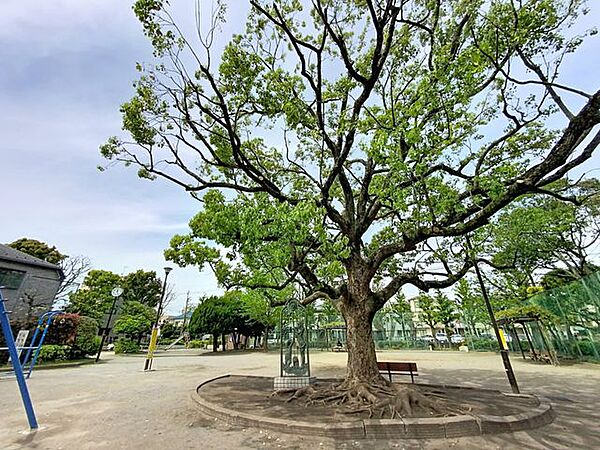 松島二丁目第二公園 330m