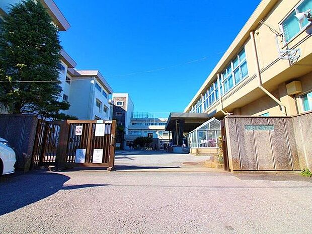 321m市川市立第八中学校 430m